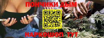 шишки Владимир