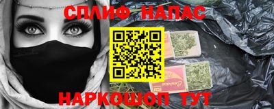 шишки Владимир