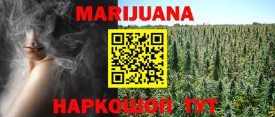 шишки Владимир