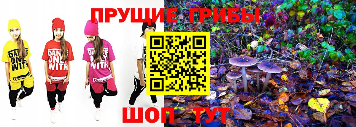 Псилоцибиновые грибы мухоморы Борисоглебск